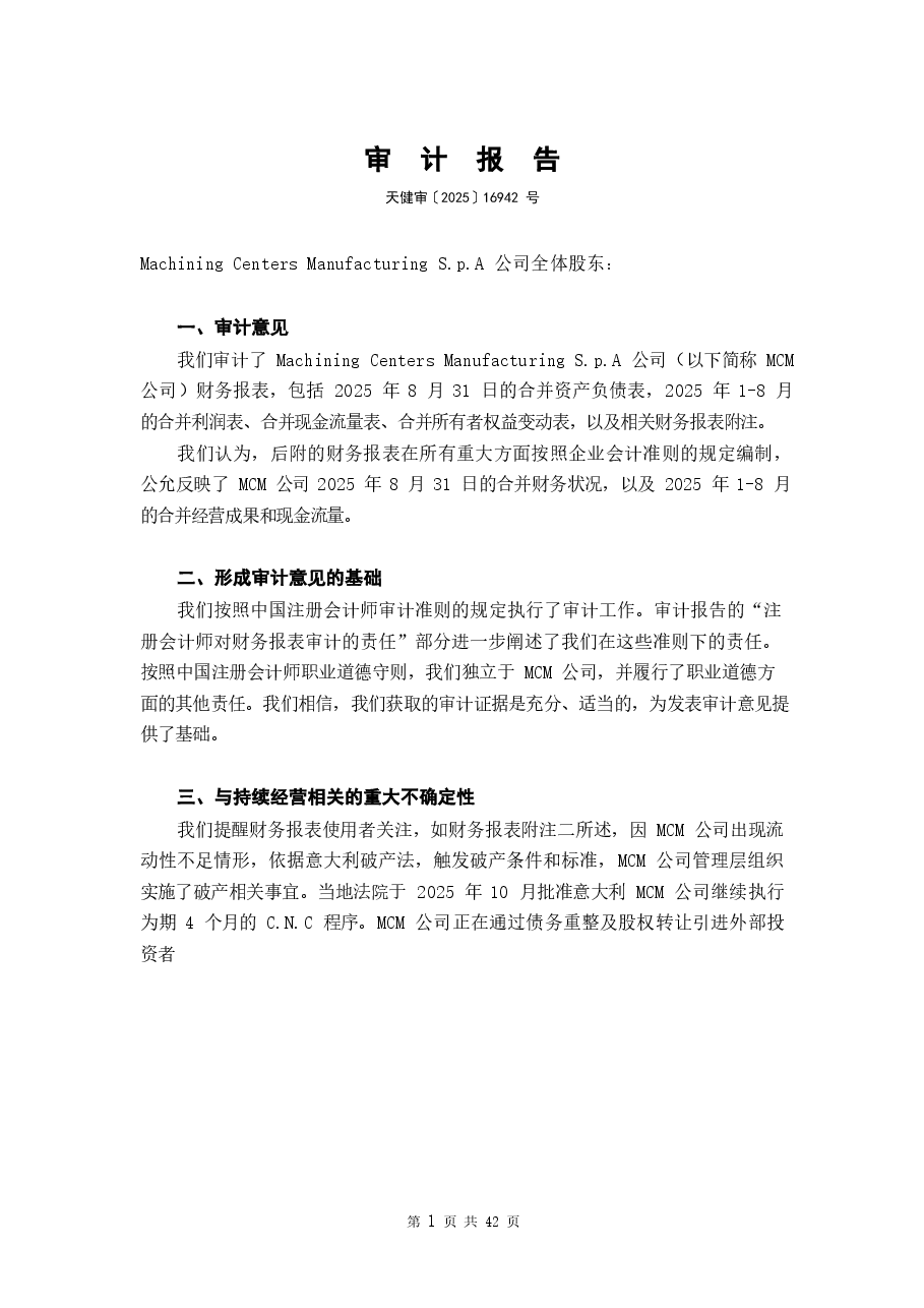 意大利MCM公司审计报告.docx,第2页预览