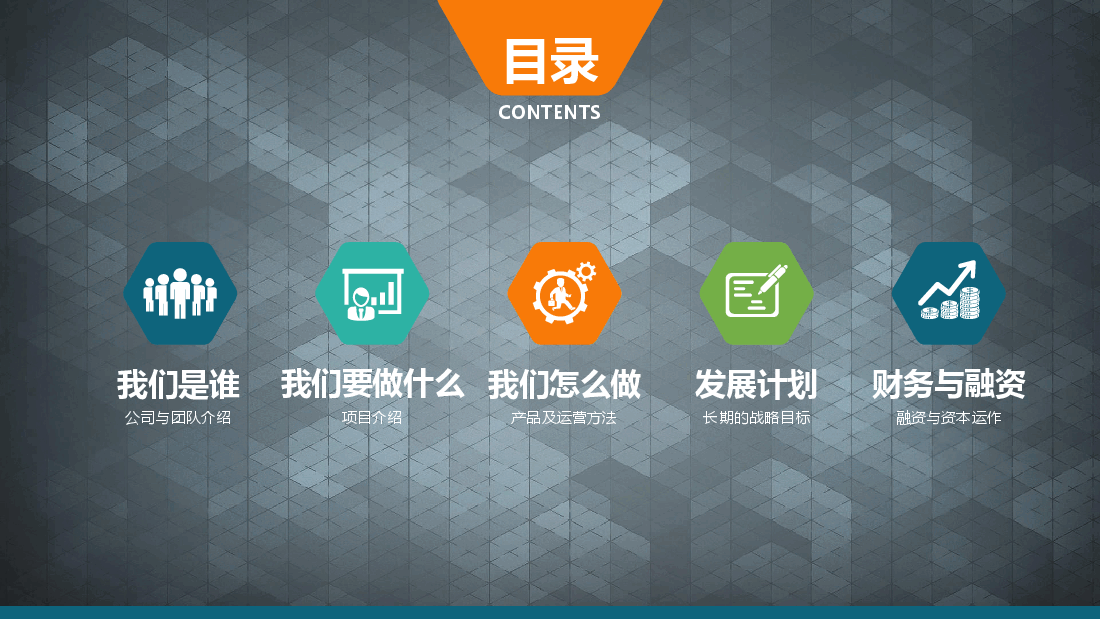 创业商业融资计划书2.pptx,第2页预览
