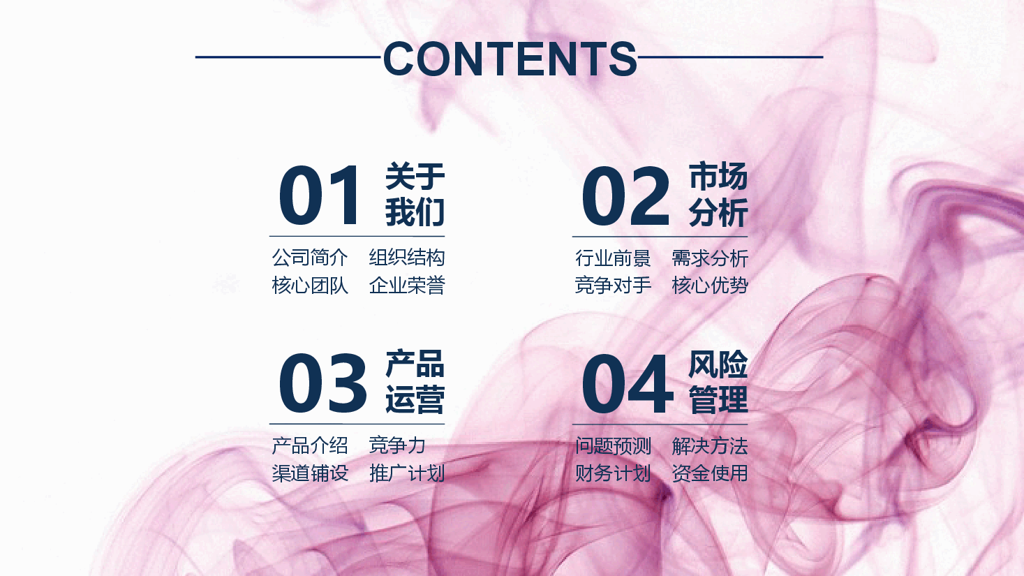 商业计划书PPT模板5最全.pptx,第2页预览
