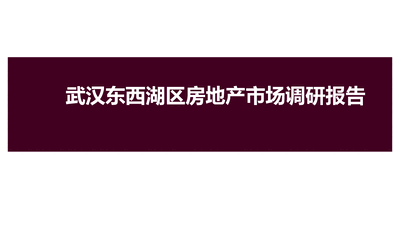 武汉东西湖房地产市场调研报告.ppt