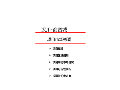 汉川商贸城市场初步调研情况.pptx