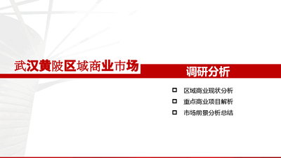 武汉黄陂区域商业市场分析.pptx