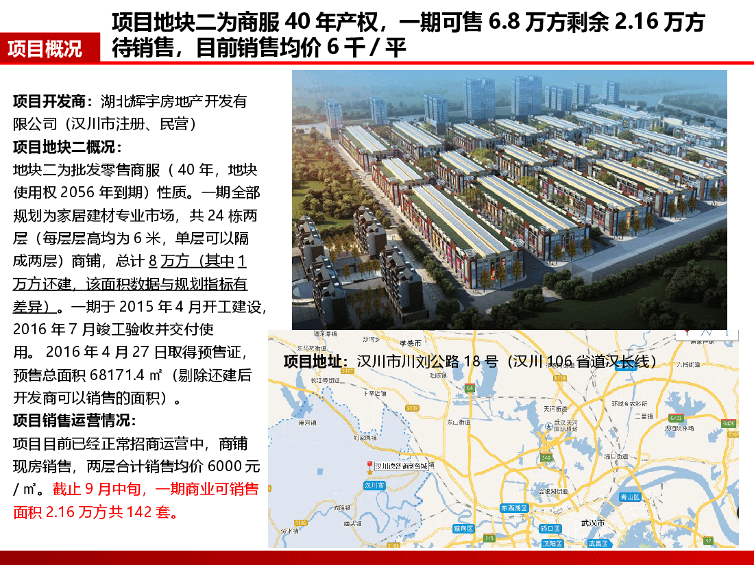 汉川商贸城市场初步调研情况.pptx,第4页预览