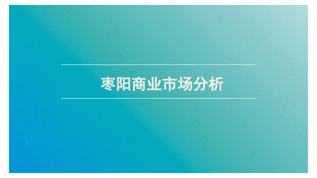 枣阳商业市场分析报告.ppt,第1页预览