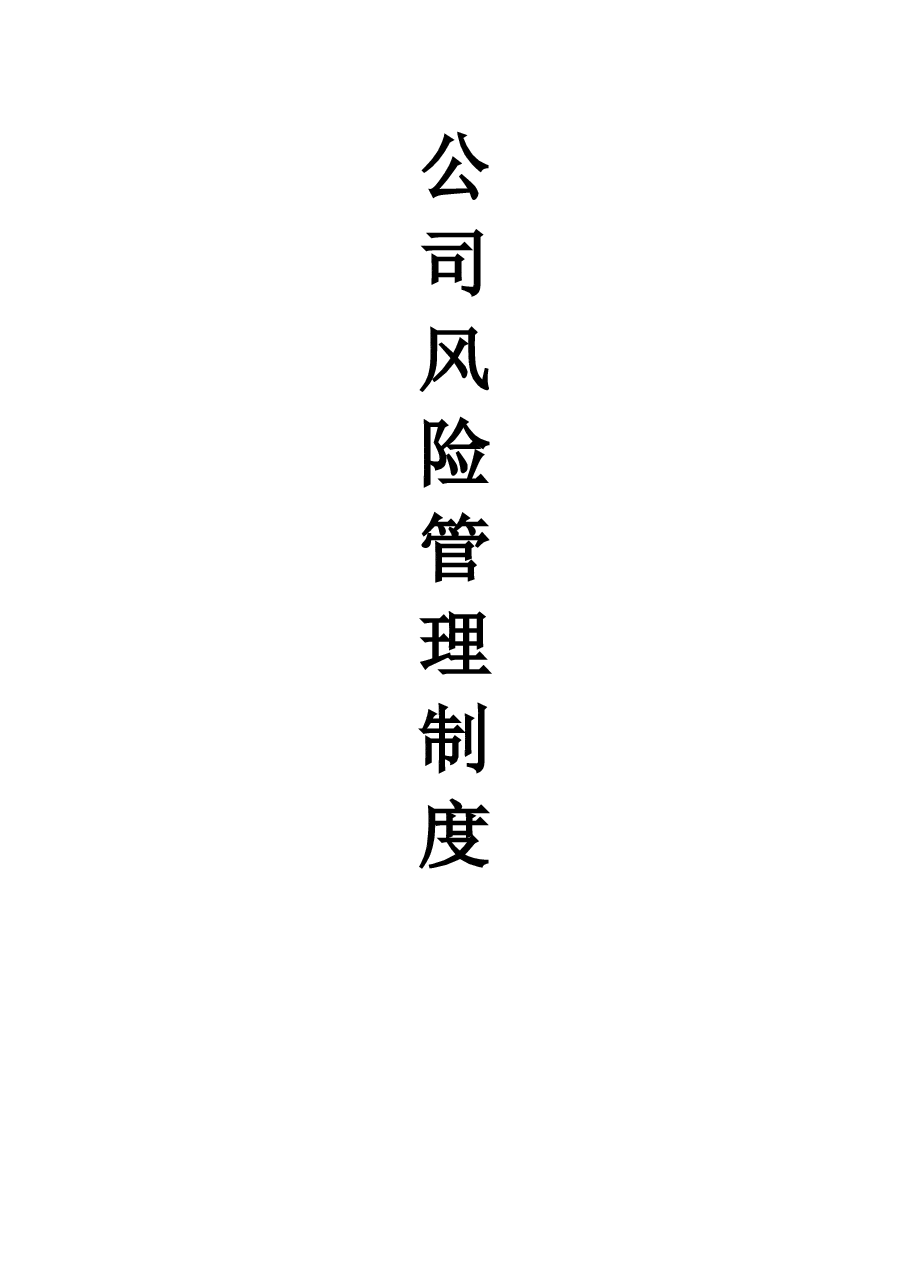 公司风险管理制度方案.doc,第1页预览