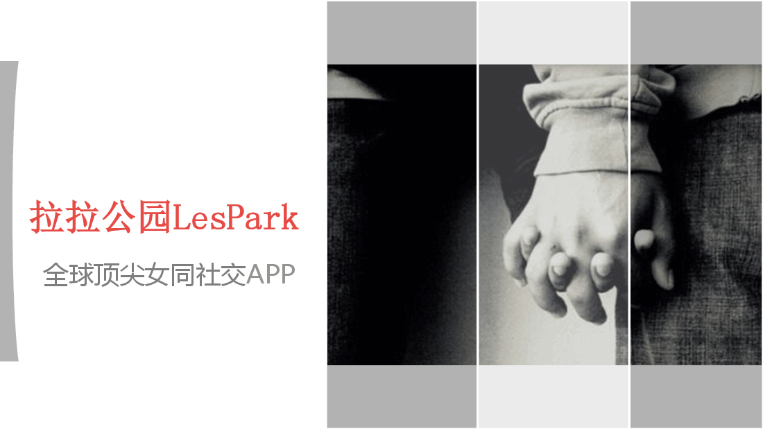 拉拉公园商业计划书.pdf，第1页预览