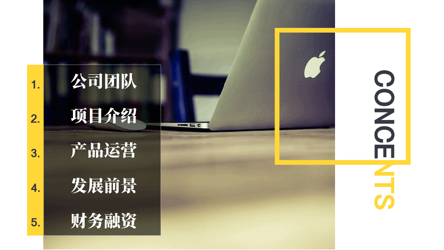 3企业融资计划书.pptx，第3页预览