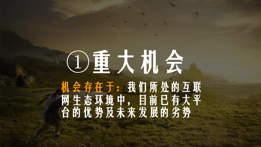 爱活动商业计划书.pdf，第3页预览