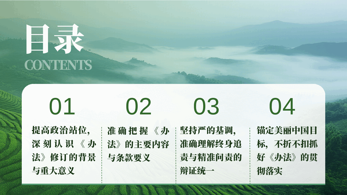 知责于心  担责于身  履责于行 ——学习贯彻新修订《党政领导干部生态环境损害责任追究办法》.pptx，第4页预览