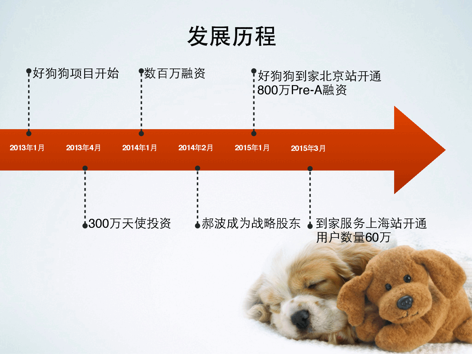 好狗狗商业计划书.pdf，第4页预览