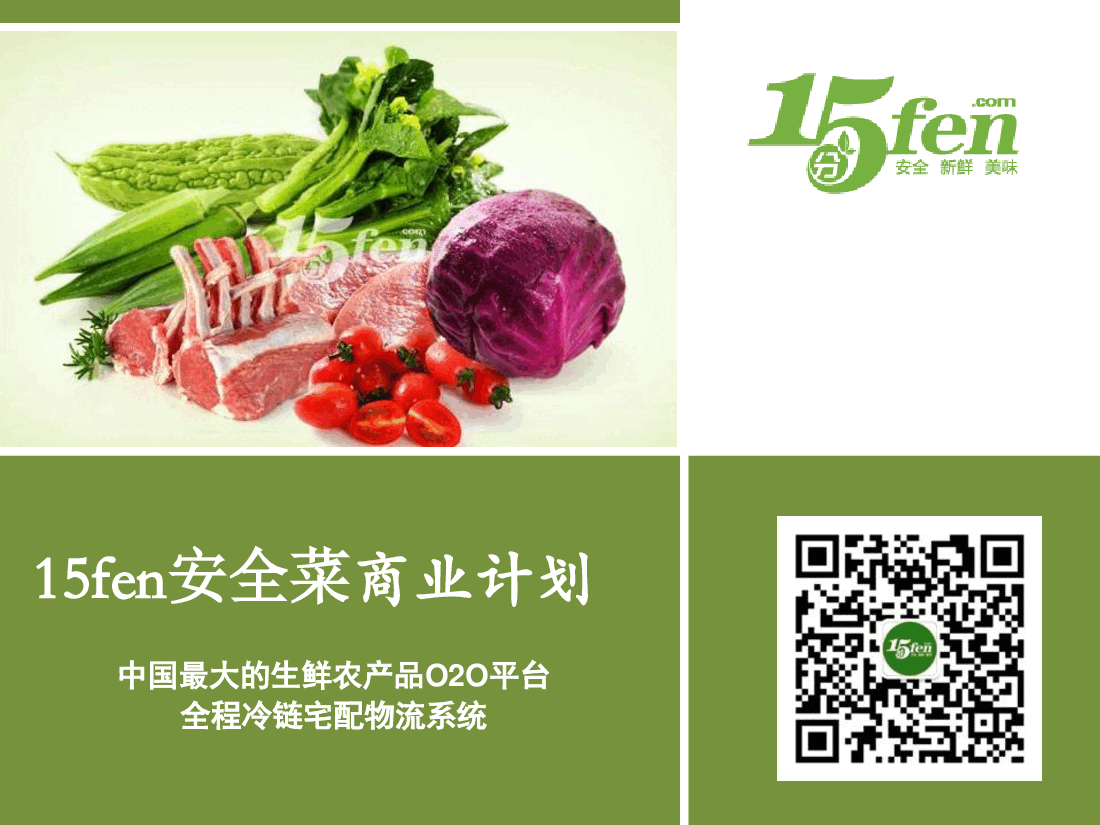 15分钟菜商业计划书.pdf,第1页预览