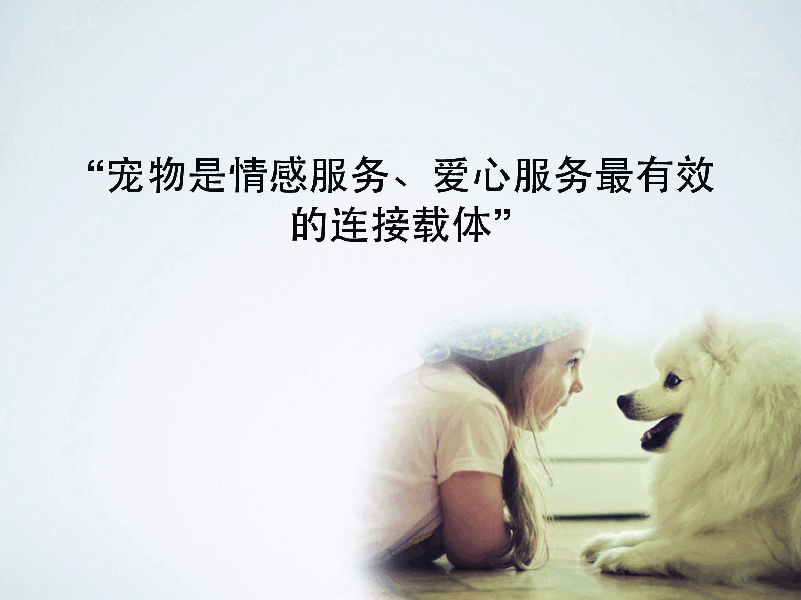 好狗狗商业计划书.pdf，第2页预览