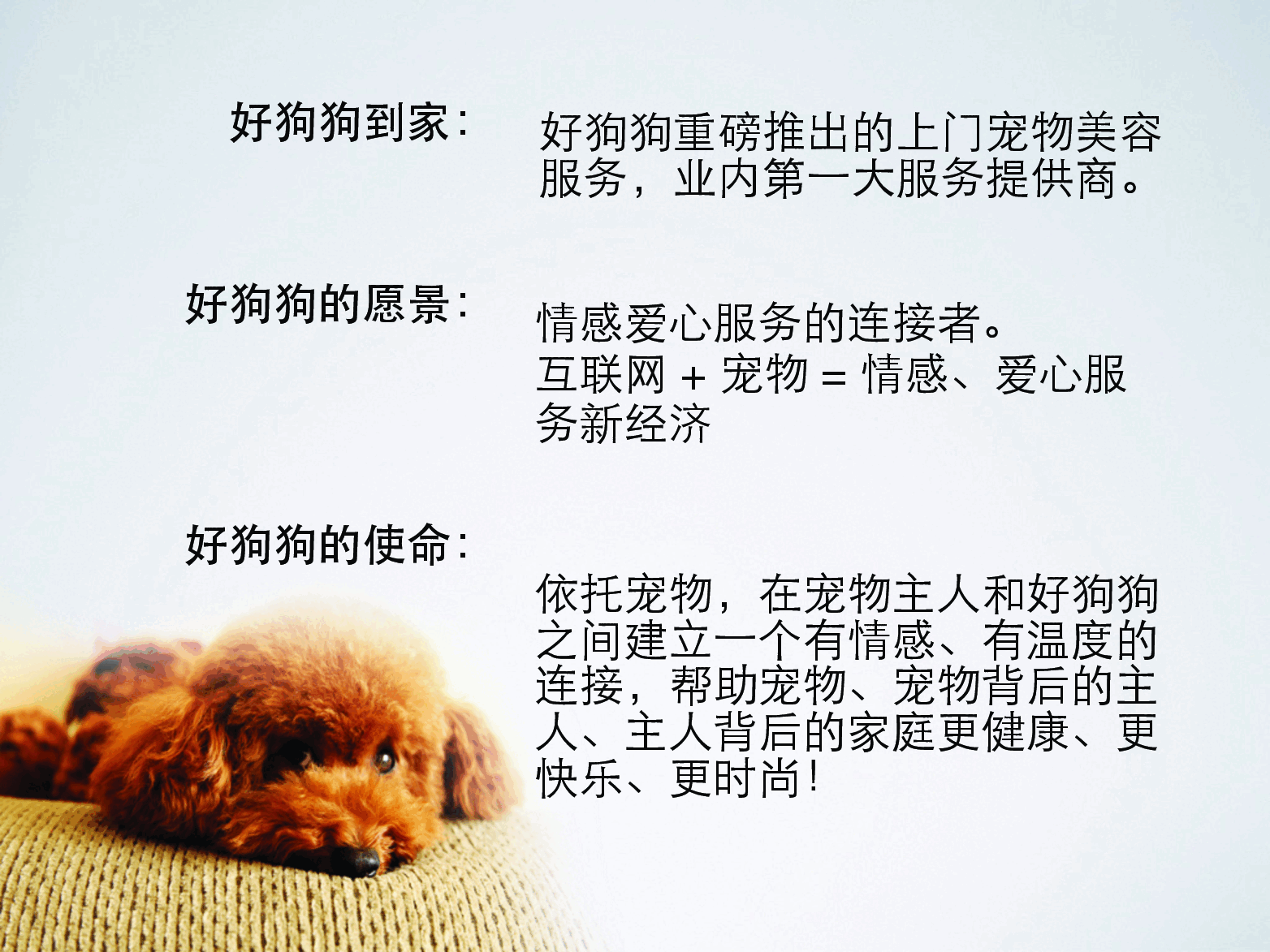 好狗狗商业计划书.pdf，第3页预览