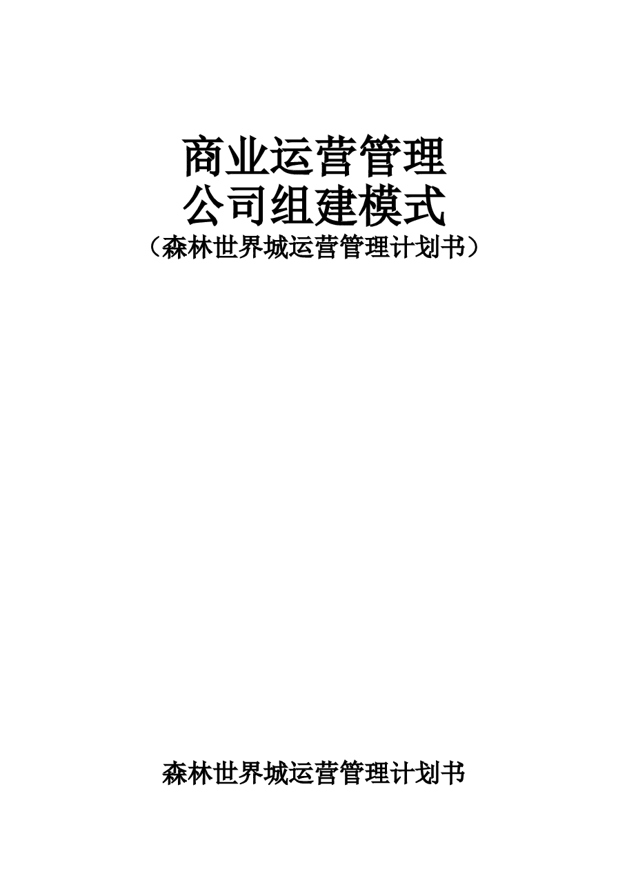 商业体商业运营管理手册与计划书范文.doc,第1页预览