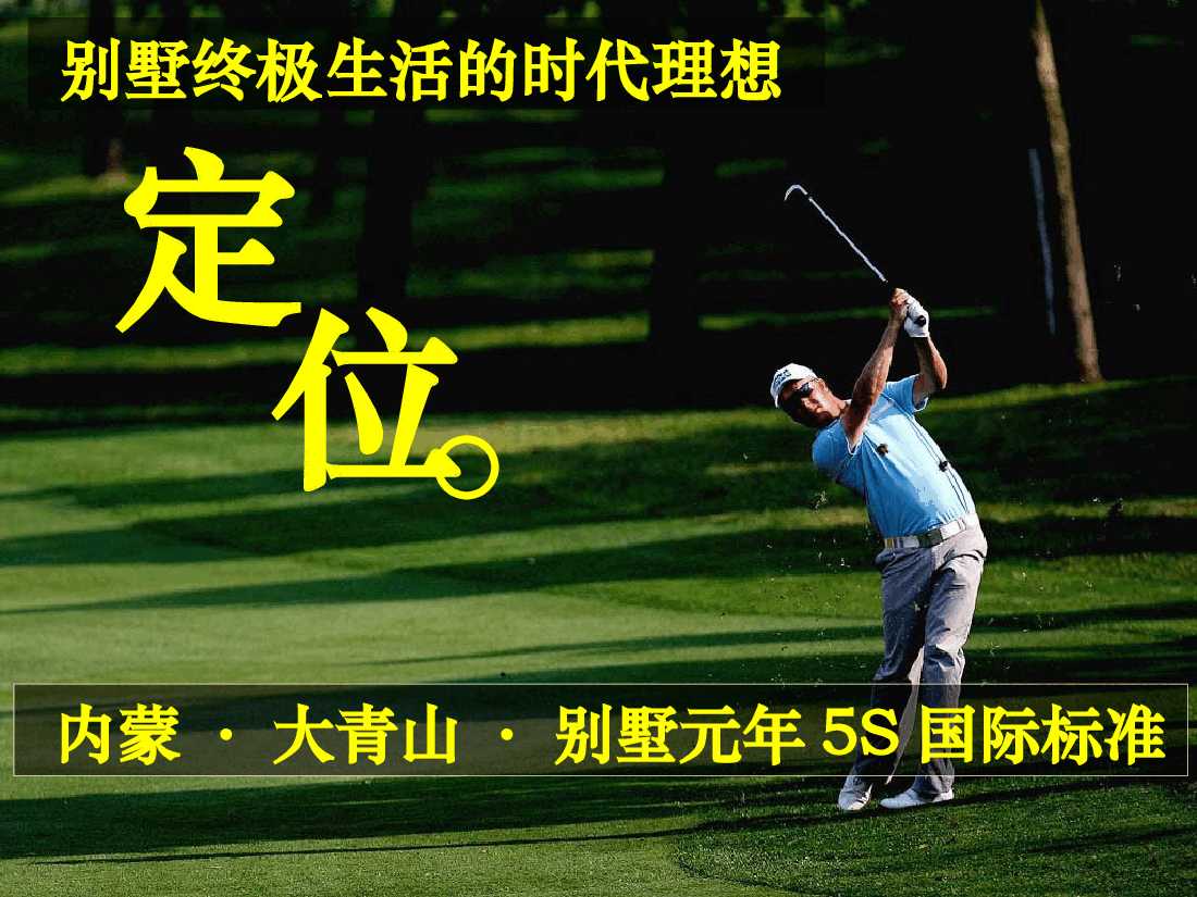 高尔夫年度营销策略总纲报告.ppt,第2页预览