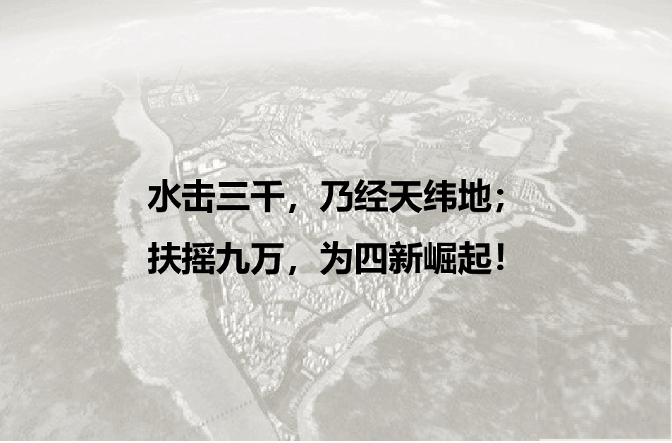 汉阳四新区域价值梳理.pptx,第2页预览