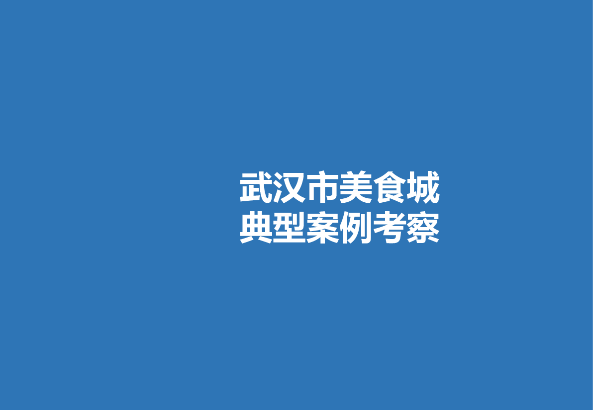 武汉市美食城商业项目市调报告.pptx,第1页预览