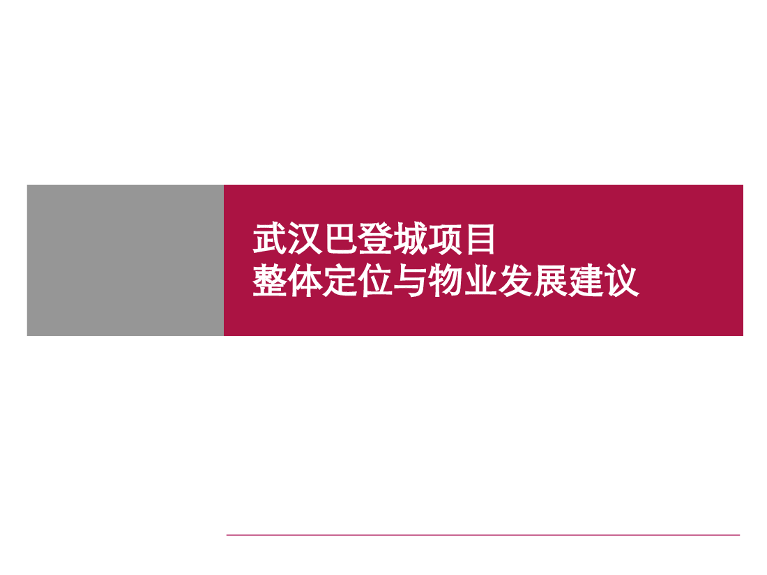 武汉巴登城项目整体定位及物业发展建议.ppt,第1页预览