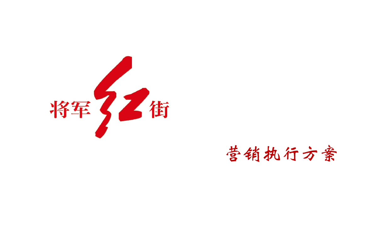 红安红街项目营销执行方案.ppt,第1页预览