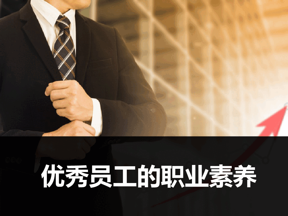 员工的职业素养培训课件.pptx,第1页预览