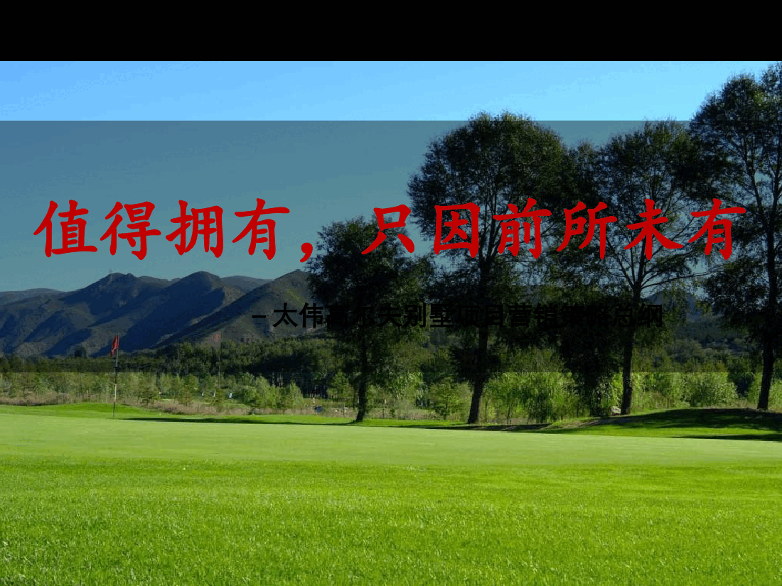 高尔夫年度营销策略总纲报告.ppt,第1页预览