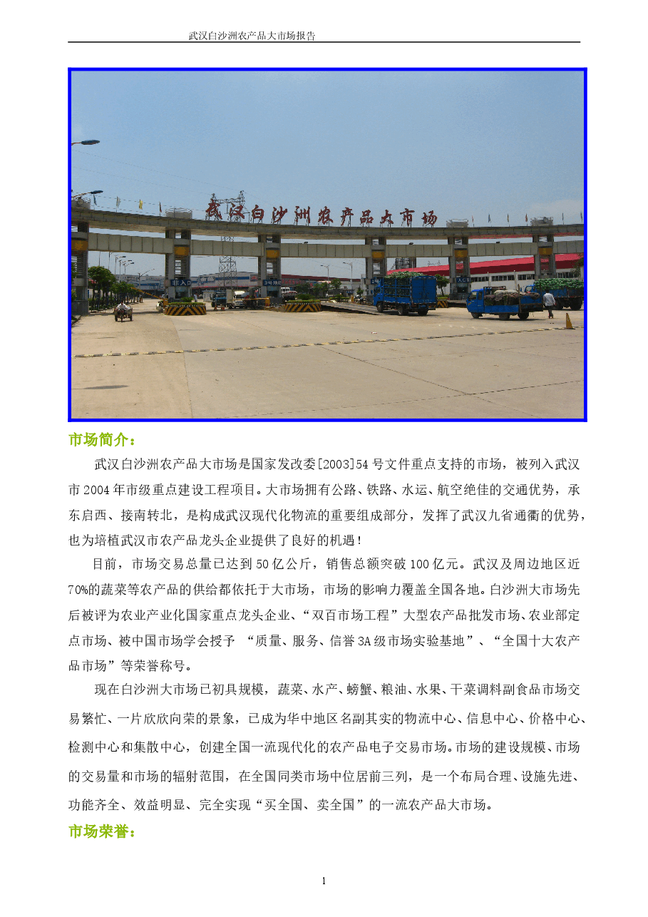 白沙洲农产品市场报告.doc,第1页预览