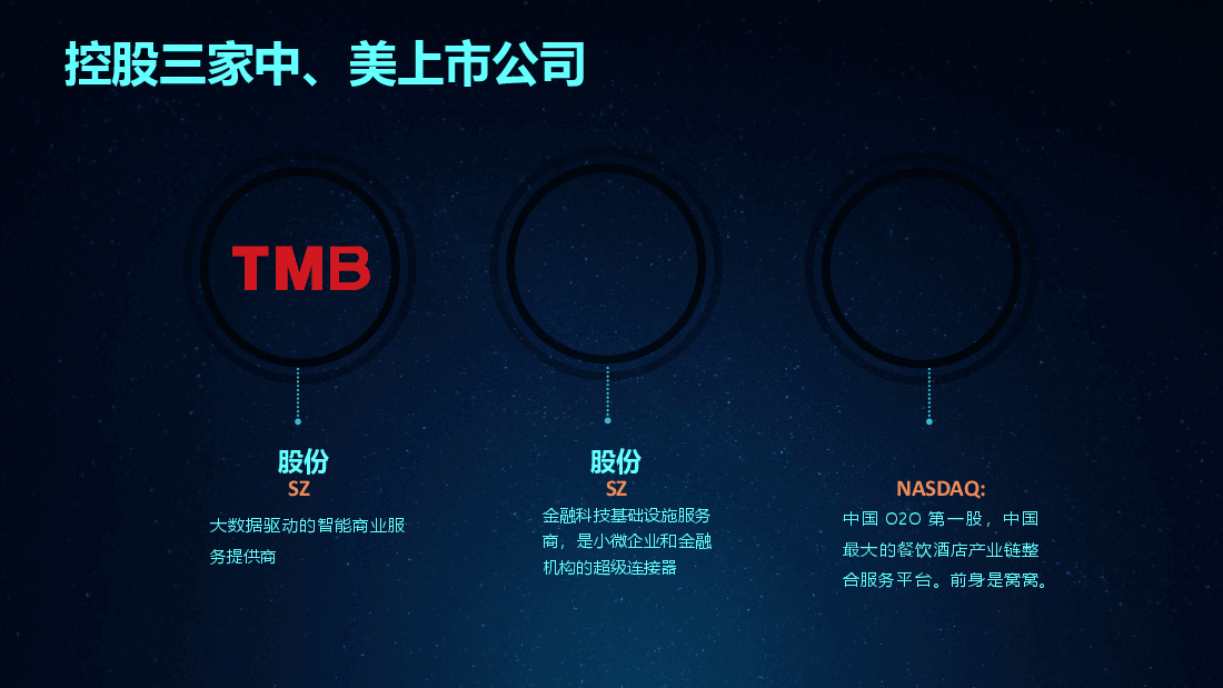 FF集团介绍推介.pptx,第4页预览