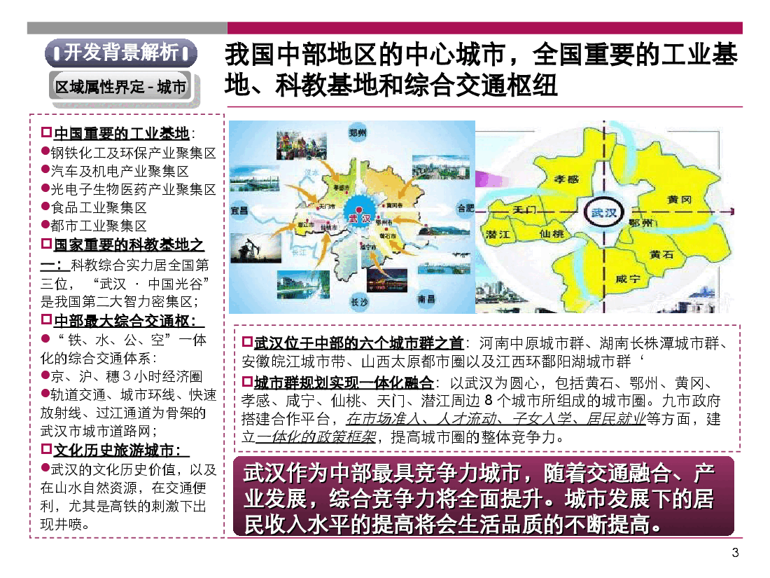 武汉巴登城项目整体定位及物业发展建议.ppt,第3页预览