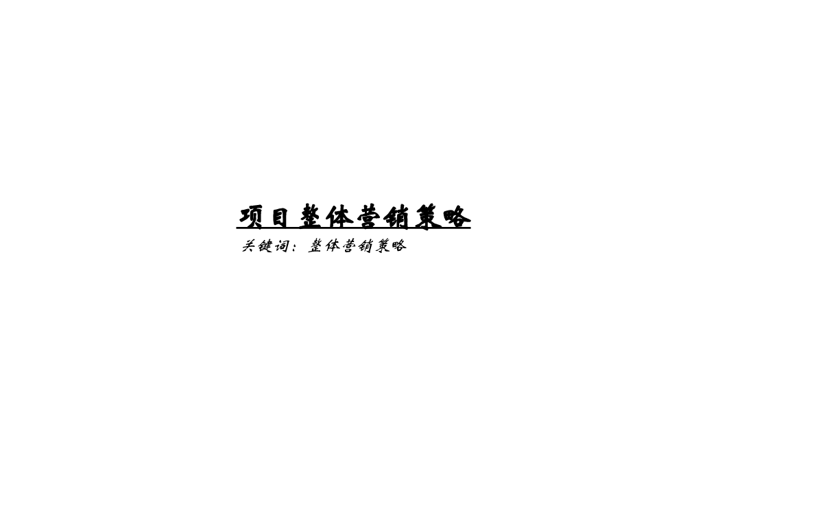红安红街项目营销执行方案.ppt,第2页预览