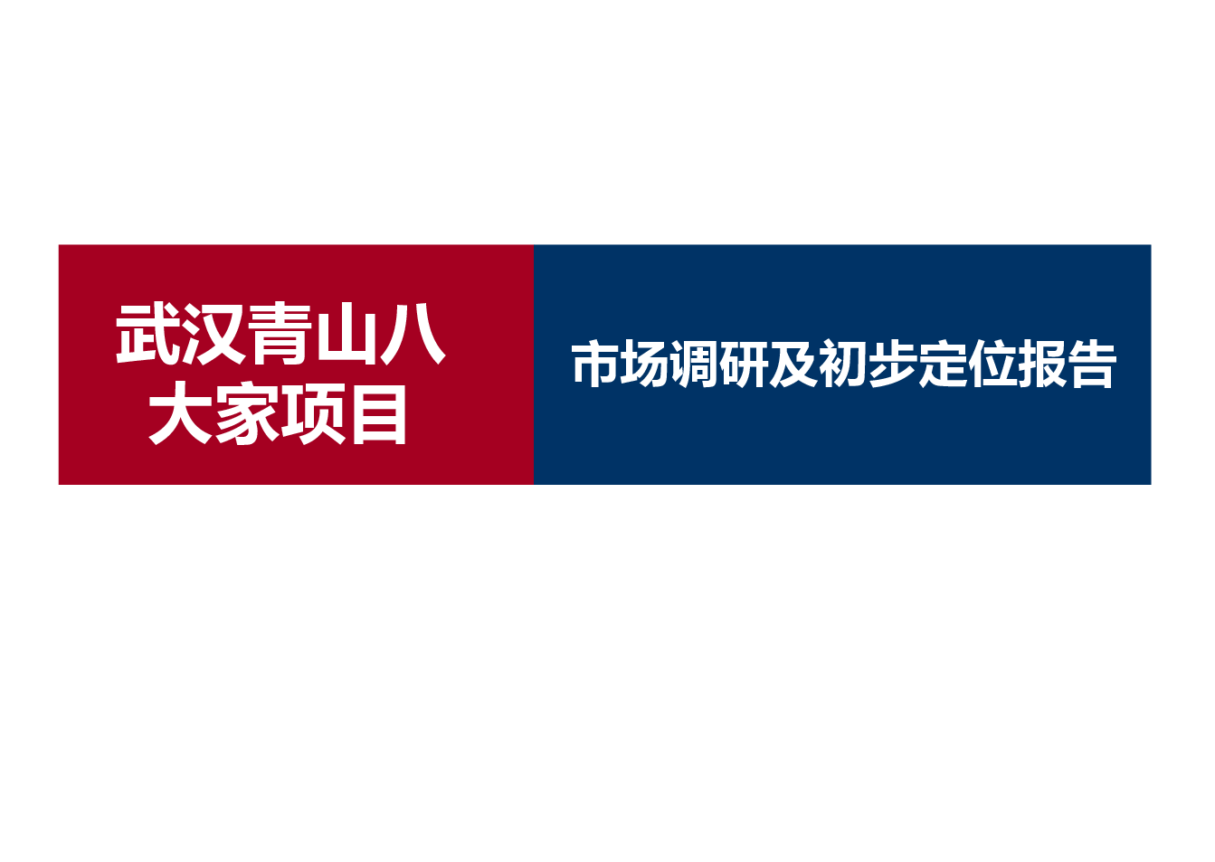 八大家项目初步定位报告.ppt，第1页预览
