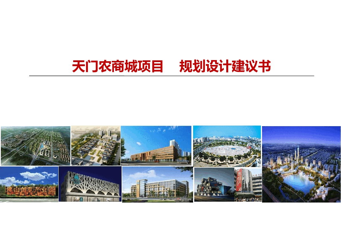 天门项目规划设计建议报告.pptx,第1页预览