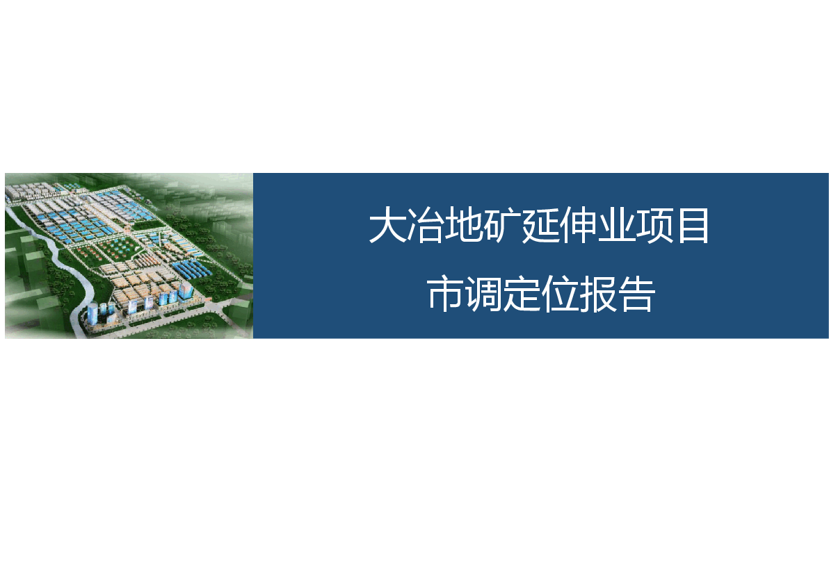 大冶项目报告文博园定位.pptx，第1页预览