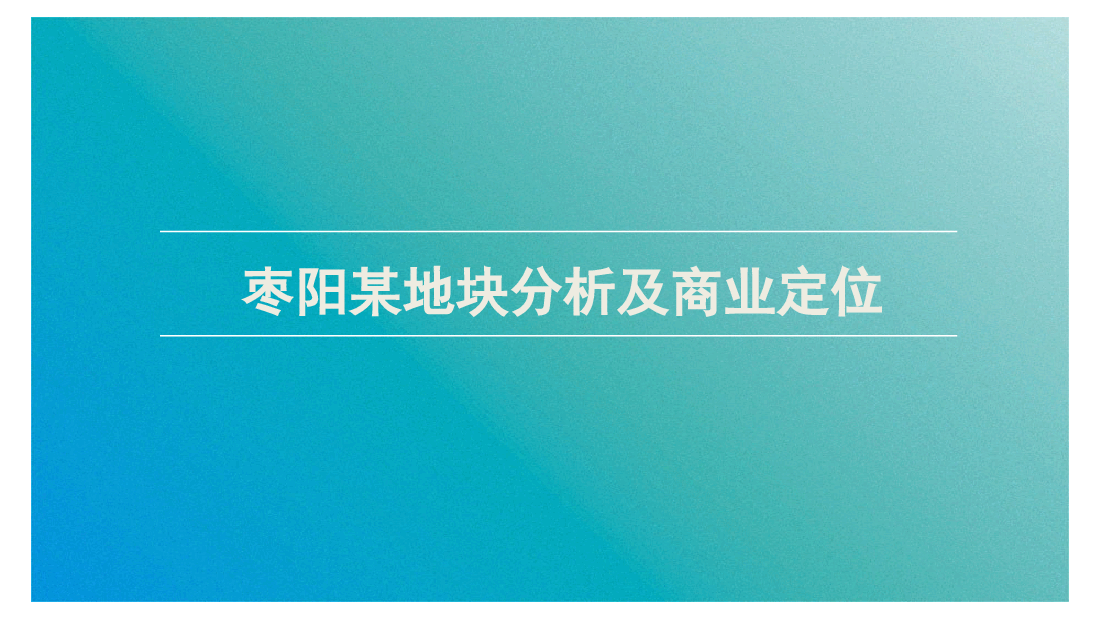 枣阳某项目分析及商业策划报告.ppt,第1页预览