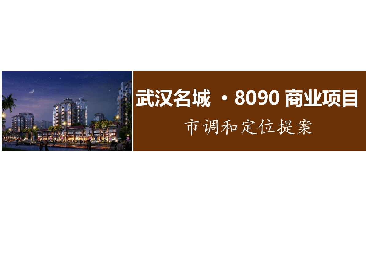 江夏名城8090商业项目市调与定位提案.pptx,第1页预览
