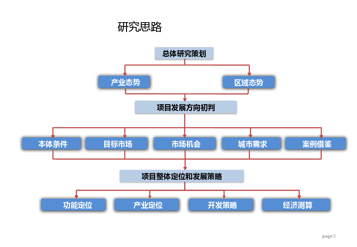华中皮草城总体战略定位报告(征求意见稿).pptx,第3页预览