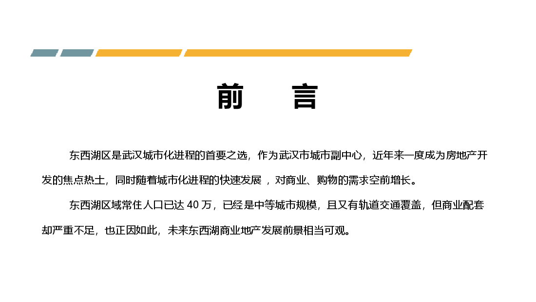 东西湖区金银湖商业项目地块前期策划建议.ppt,第2页预览