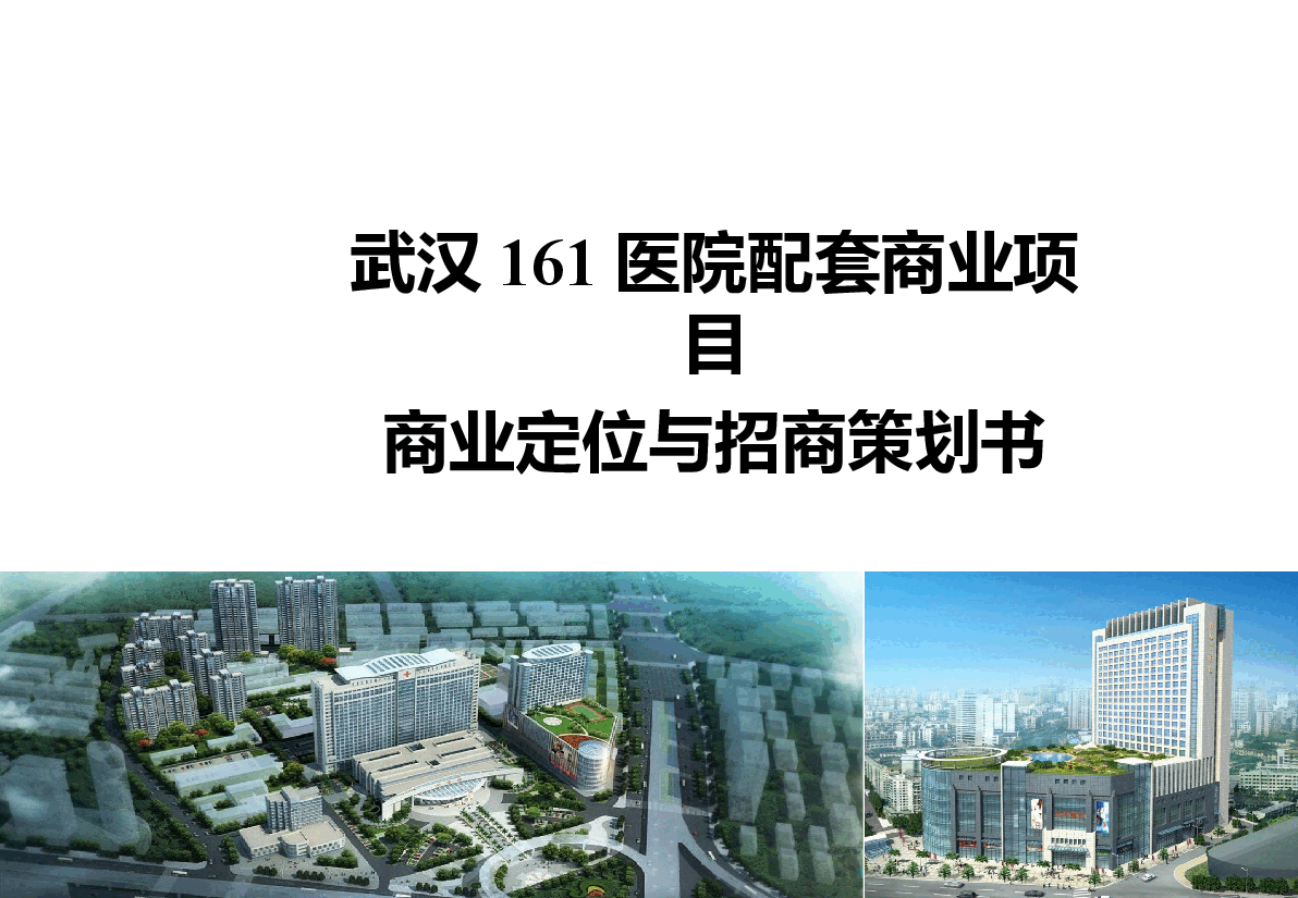 武汉161医院配套商业项目策划方案.pptx,第1页预览