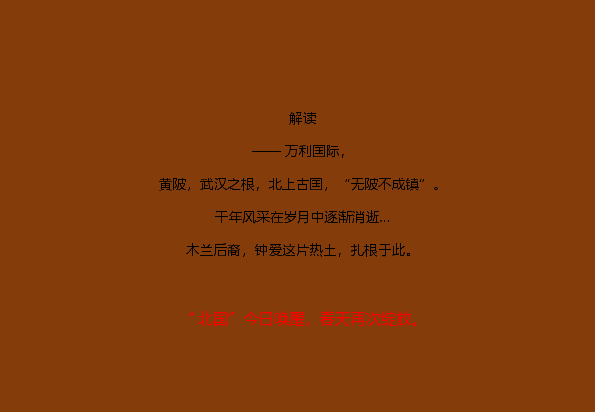 黄陂北国之春项目市场研究及定位报告.pptx,第3页预览