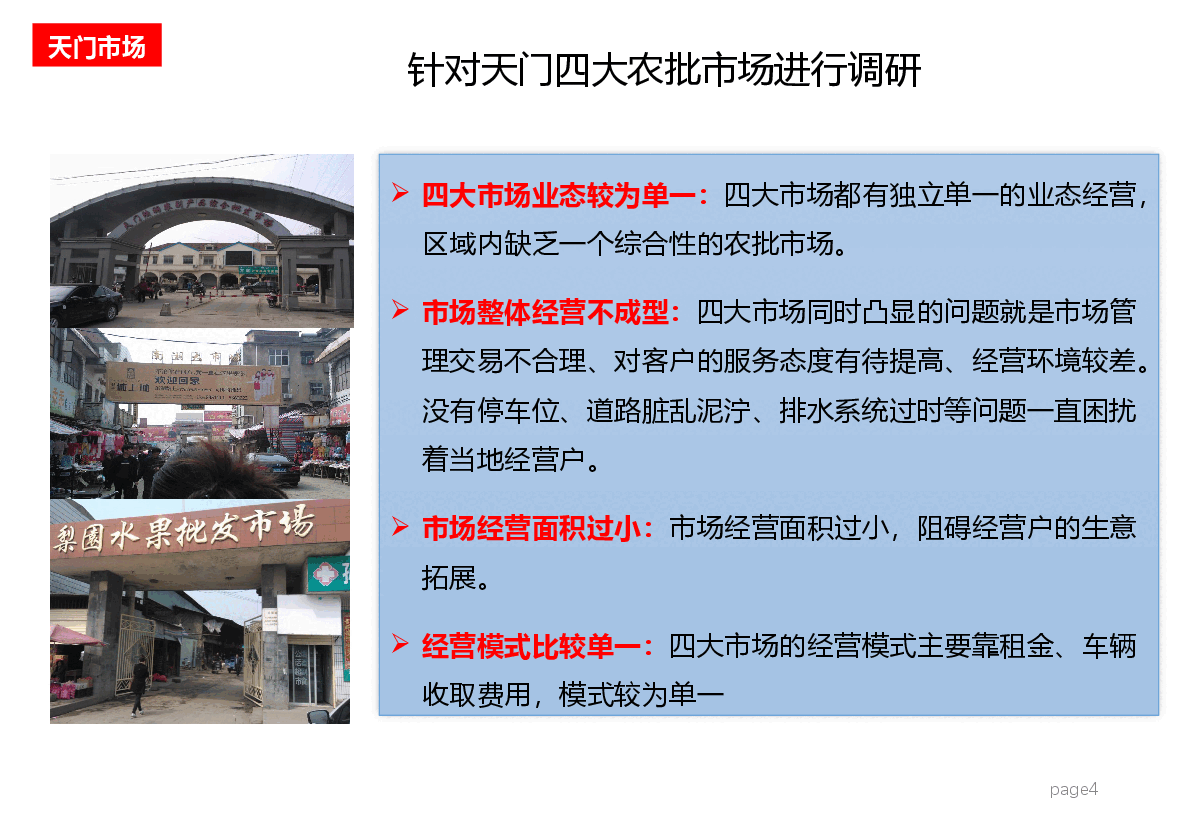 天门项目规划设计建议报告.pptx,第4页预览