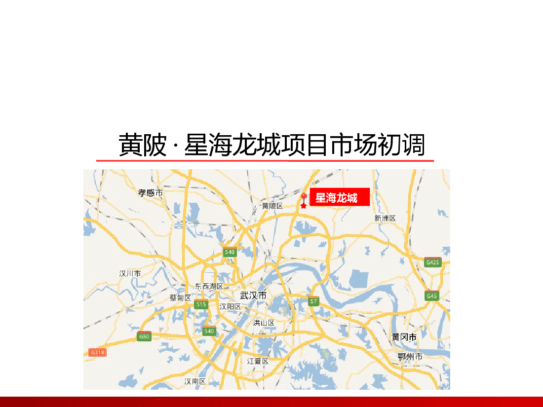 黄陂星海龙城项目市场分析.pptx,第1页预览