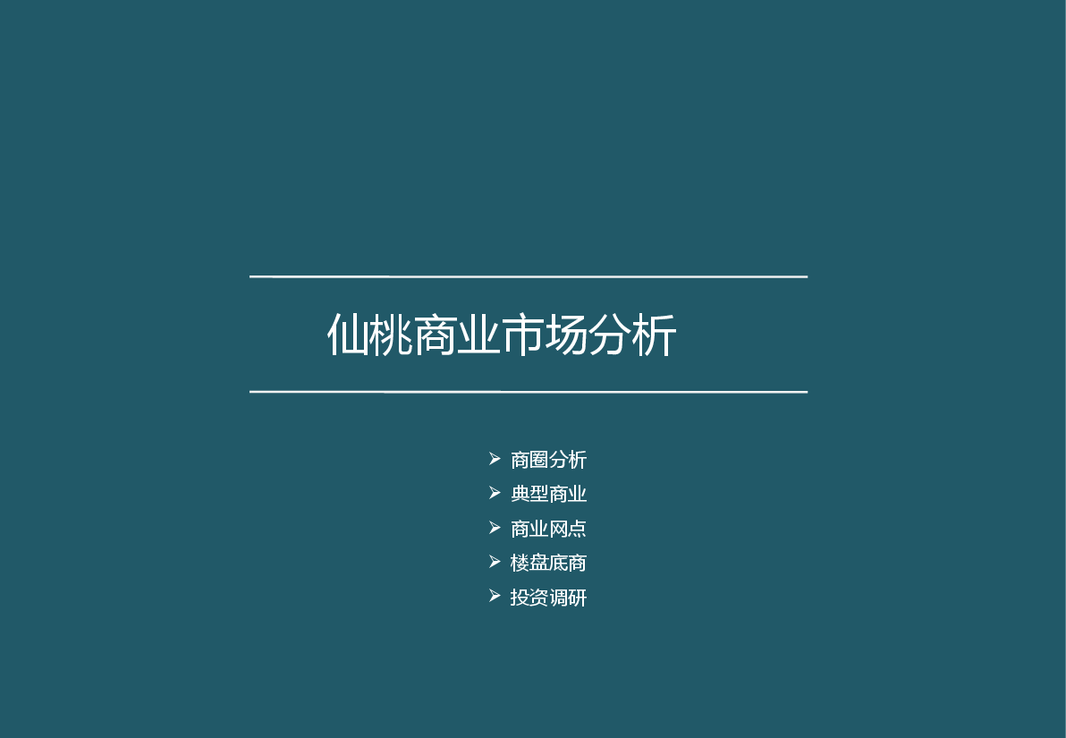 仙桃商业市场调研报告.pptx,第1页预览
