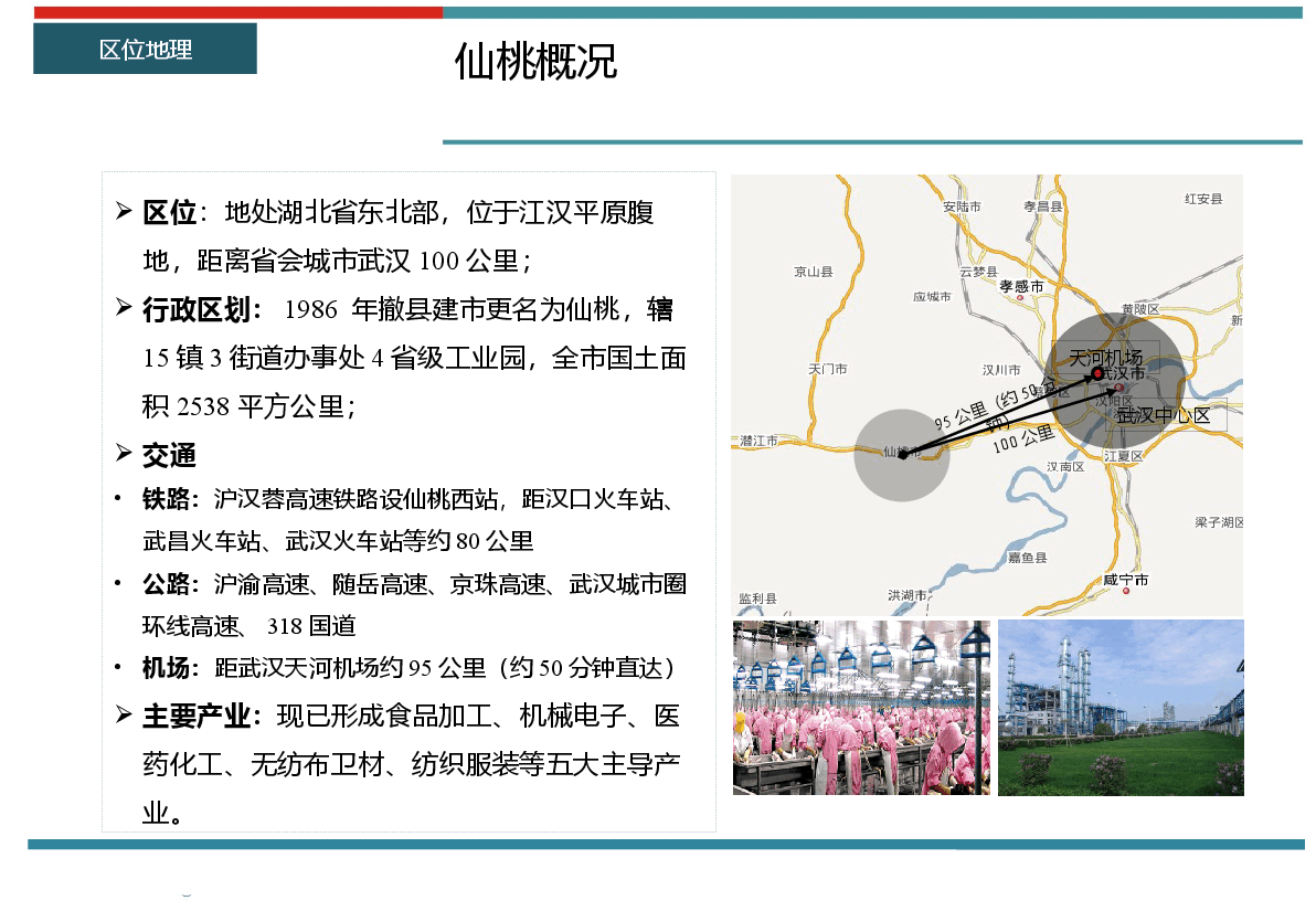 仙桃房地产市场分析.pptx,第3页预览