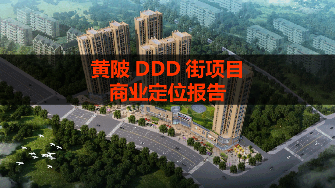 黄陂某商住项目商业定位报告.pptx,第1页预览